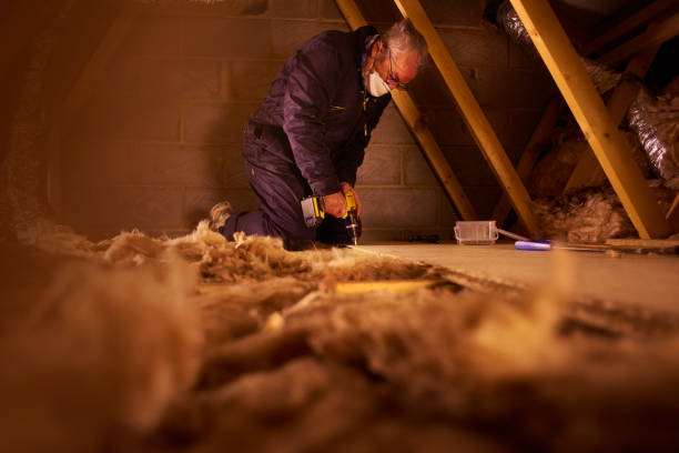 Best Types of Insulation in Seville, FL